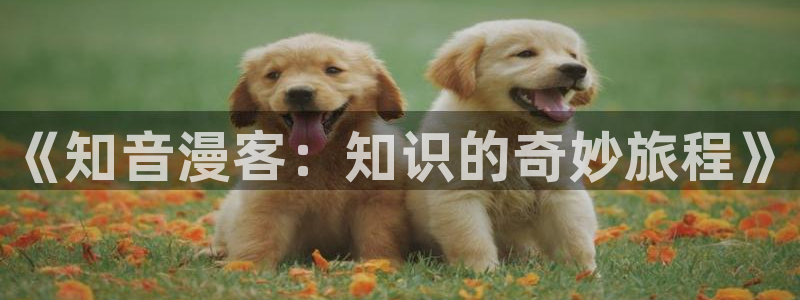 yy漫画_羞羞：《知音漫客：知识的奇妙旅程》