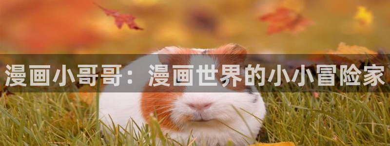 yy漫画 app：漫画小哥哥：漫画世界的小小冒险家