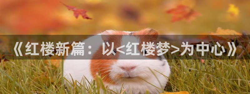 yy漫画韩国：《红楼新篇：以<红楼梦>为中心》